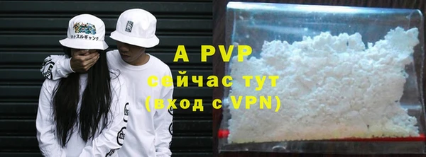 бошки Осинники