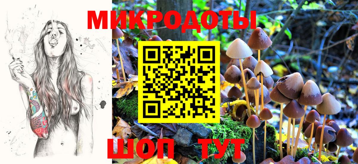Псилоцибиновые грибы Magic Shrooms Североморск