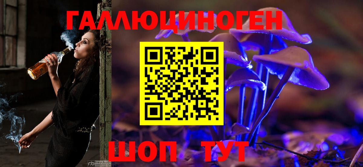 Галлюциногенные грибы Psilocybine cubensis  Вход с VPN  Североморск  Псилоцибиновые грибы Cubensis 