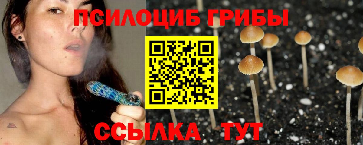 Псилоцибиновые грибы Magic Shrooms  Галлюциногенные грибы Psilocybine cubensis  Североморск 