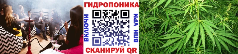 МАРИХУАНА планчик  мориарти официальный сайт  Североморск  дарнет шоп 