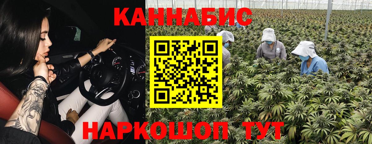 Шишки марихуана ГИДРОПОН  Каннабис гибрид  Каннабис SATIVA & INDICA  Бошки Шишки MAZAR  Вход с VPN  Североморск 