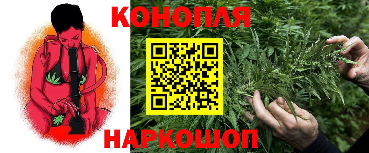 Бошки марихуана конопля  Шишки марихуана MAZAR  Канабис планчик  Североморск 